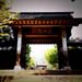 蒼泉寺総門正面