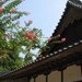 本堂奥の花