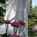 ぴんころ地蔵さまともよぼれます