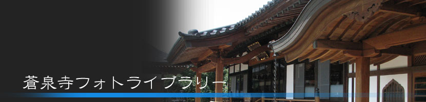 曹洞宗 蒼泉寺のフォトライブラリ